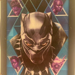 Black  Panther Heroes