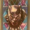 Black  Panther Heroes
