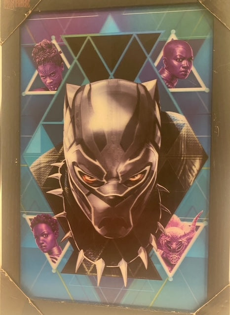 Black  Panther Heroes